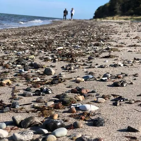 Reetdachhaus Seasons Mit Kamin & Sauna * Groß Schwansee