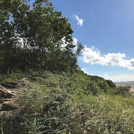 Feriehus Reetdachhaus Seasons Mit Kamin & Sauna