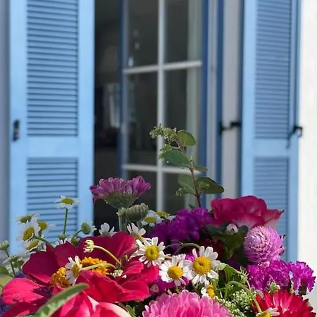 Reetdachhaus Seasons Mit Kamin & Sauna Holiday home