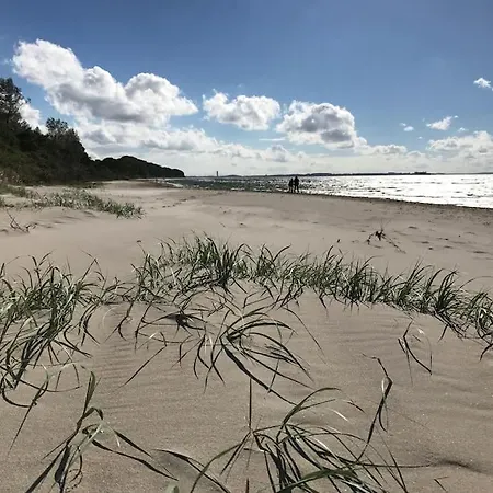 Reetdachhaus Seasons Mit Kamin & Sauna